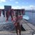 Carrie Ellen Rogers's profile image