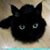Hyla Regilla's profile image