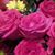 Tina Marie Daniel's profile image