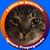 Sheila Conners-Fogelman's profile image