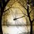 Kathy Ann Harper's profile image