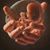 Rebecca Caufield's profile image