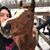 Shaina Frolik's profile image