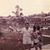 Susan Glass Baldwin's profile image