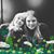 Beth Burris-Williams's profile image