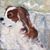 Ranko Wagoner's profile image