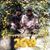 Tina Marie Padilla's profile image
