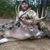 Tristan Sipes's profile image