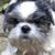 John Szente's profile image