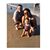 Ana Garcia-Reyes's profile image