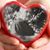 Carol Lincoln's profile image