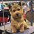 Cathy Rogers's profile image