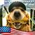 Jimmy Hardy's profile image
