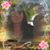 Me'lisa Bright Stpierre's profile image