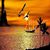 Shirin El-menawy's profile image