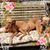 Connie Tivvis-Savage's profile image