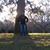 Jeff Wooten's profile image