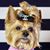 Starr Waters's profile image