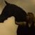 Leslie Blaney's profile image