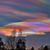 Brad James Molstad's profile image