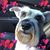 Tonie Valdez's profile image