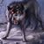 Lane Marion Walton's profile image