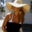 Jeanette Rose's profile image