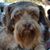 Christy L Baker's profile image