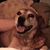 Eric Pennal's profile image