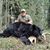 Roy Jacobson's profile image