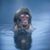 Robert Shore's profile image