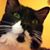 Molly Donley-Robitaille's profile image