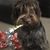 Jodie Yates Strain's profile image