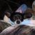 Yolanda Saenz Landin's profile image
