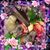 Cathleen Meldrum's profile image