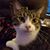 Donna Paulus Nichols's profile image