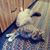 Pam Loera-Weitzel's profile image