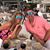 Dawn Rogers Cruickshank's profile image