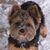 Nancy Vollan's profile image