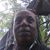 Allison C. Whitfield's profile image