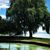 Susan Witek's profile image
