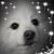 Tammy Buhrow's profile image