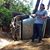 Cesar D. Rodriguez's profile image