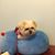 Lala Lala's profile image