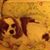Karen Schwenkner's profile image