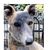 Chuck Shillingford's profile image