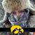 Amber Paullin's profile image