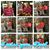 Thompson Patricia Fogle's profile image