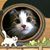 Cheryl Renay Morris's profile image