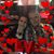 Sofie Sanchez Teves's profile image